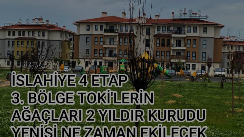 İSLAHİYE TOKİ’LERİNDE AĞAÇLAR 2 YILDIR KURUDU, YENİSİ NEDEN DİKİLMEDİ..?