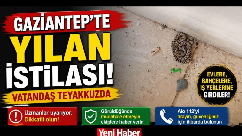 GAZİANTEP’TE YILAN İSTİLASI: VATANDAŞ TEYAKKUZDA  